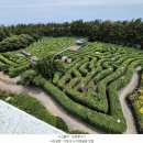 법환동-9 이미지