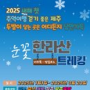 하하투어 이미지