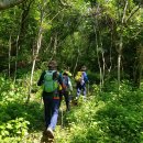 천주산 입구 이미지