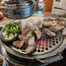 동래정김천 네이버블로그