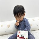 구르미간식 | 100% 유기농 구운 간식, 퓨어잇 구르미팝 체험 후기