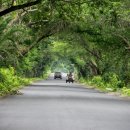 승진자동차써비스 이미지