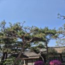 부용원 | 포천 고모리 한옥카페 '부용원' 솔직 후기
