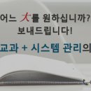 올쌤교육