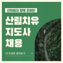 진로직업체험 지도사 2급 | 산림치유지도사 채용 자격증 비전공자도 이렇게 땄어요
