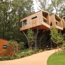 트리하우스 이미지