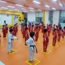 가람경희대 태권도장 이미지