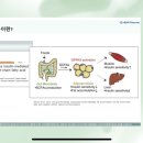 마리스헬스케어
