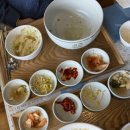 대평가든 | 강아지랑 제주도 여행 2편: 식당편