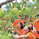 파랑새 유스타운 이미지