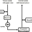 Cardiopulmonary bypass influences the plasma levels of calcitonin gene-related peptides in dogs: Effects of hemofiltration and hemodilution 이미지