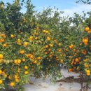 성훈농장 이미지