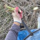 느린오후 이미지