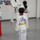 배움 태권도장 이미지