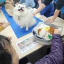 행복하개 이미지