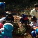 성당초등학교병설유치원 이미지