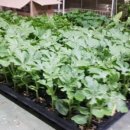 진농바이오 이미지