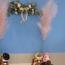 해피독쌤 이미지