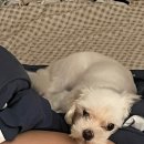 김밥나라(동강대) | 그런 세상을 꿈꾸고 말았다