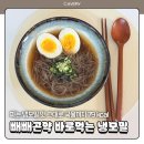 주미전자 | 여름 다이어트 식단관리 추천 빼빼곤약 바로먹는 냉모밀 79kcal 내돈 후기