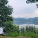 지에스(GS)25 화도금남리점 | [서울 근교 여행] 양평 두물머리 데이트 코스｜연핫도그·연잎아이스크림&amp;피아노폭포 주차팁