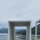 댕's 이미지