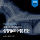 채플린동물병원 이미지