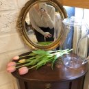 드라이데이 이미지