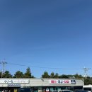 자유카 | 제주도 자유렌트카 후기 (2025년 7월) 차량 상태 보고 깜짝 놀람