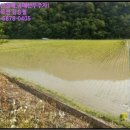 진주사봉우체국 이미지