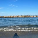 논개골 낭만 벚꽃축제 | 2026년 3월 대구·경북 축제 가볼만한곳 BEST 5