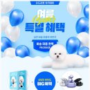 오드리펫 이미지