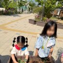 장등초등학교 이미지