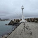 원투 | 포항 방파제 낚시 놀래미 잘 나오는 내항 포인트와 방파제 원투낚시 후기