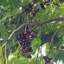 (주)진영기업 이미지