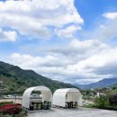 하동 여행 | 지리산팔베개펜션 바베큐 내돈내산 만족