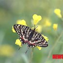 을숙도 생태공원 이미지