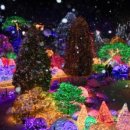 안녕,오늘도카페 이미지