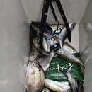 초롱블루펜션 이미지