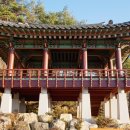 양산신-2025 Daum카페