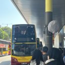 에그드랍 아름점 | [홍콩] 3박 4일 홍콩여행(2) - 초이홍아파트, 몽콕 꽃시장, 셩완거리, FOCACCIA, 미도카페