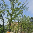 민망한 하루 이미지