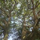 관수경로당 이미지