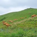 한구목장 이미지