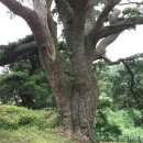 묘산면사무소 이미지