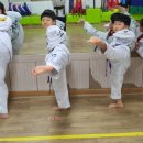 창대태권도장 이미지