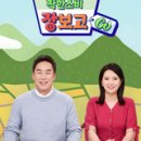 대섬알이랑 이미지