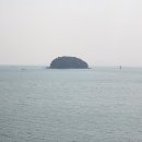 주식회사정치망1 이미지