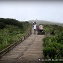 노벨의료기 이미지