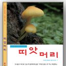 띠앗 이미지